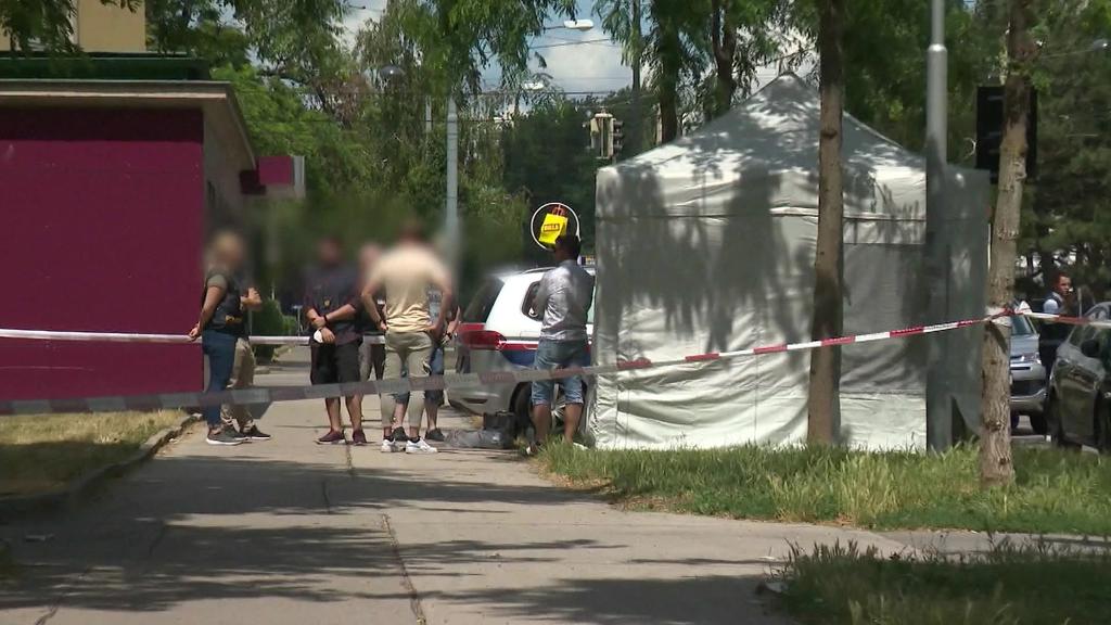 Wien: Fundort der 13-jährigen Leonie