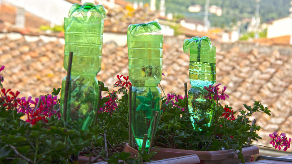 Bewässerungs-Systeme in Haus und Garten: Was ist sinnvoll?