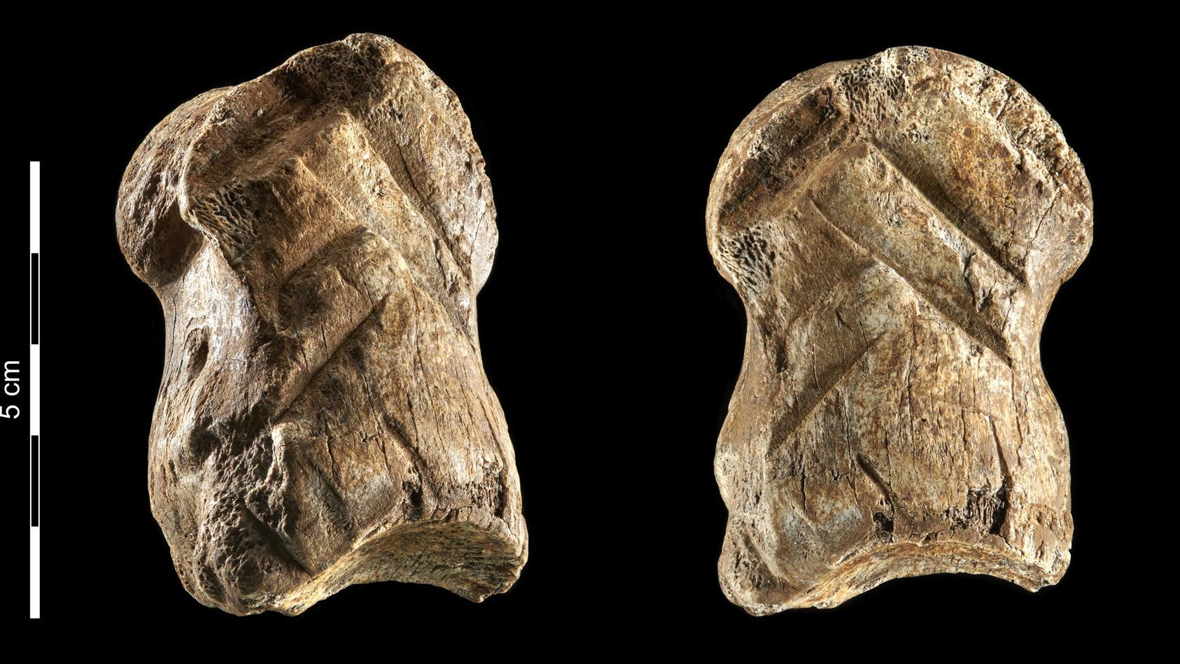 Dieses Knochenstück soll belegen, dass der Neandertaler ein Künstler gewesen ist.