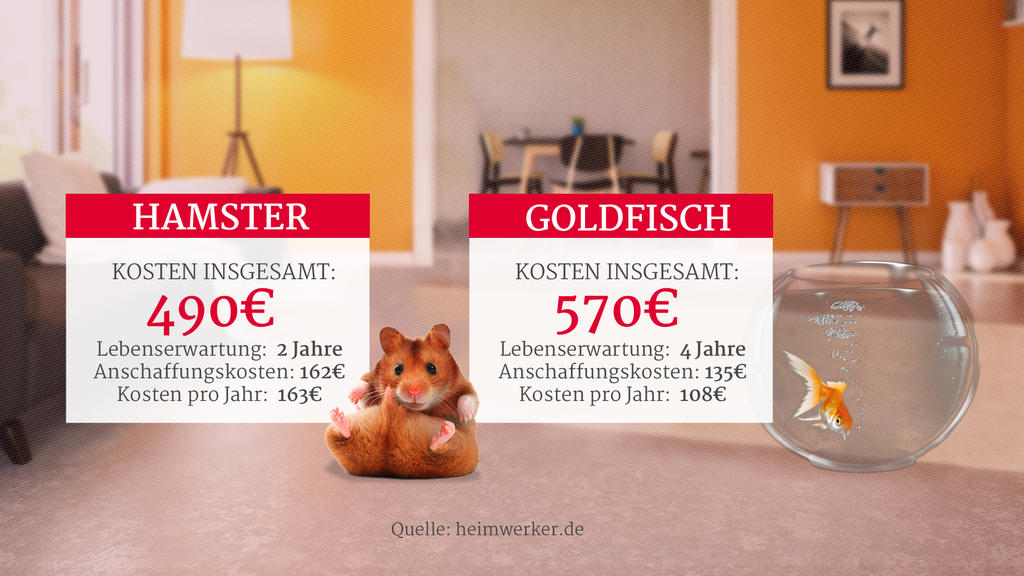 Grafik: Kosten für Hamster und Goldfisch als Haustiere