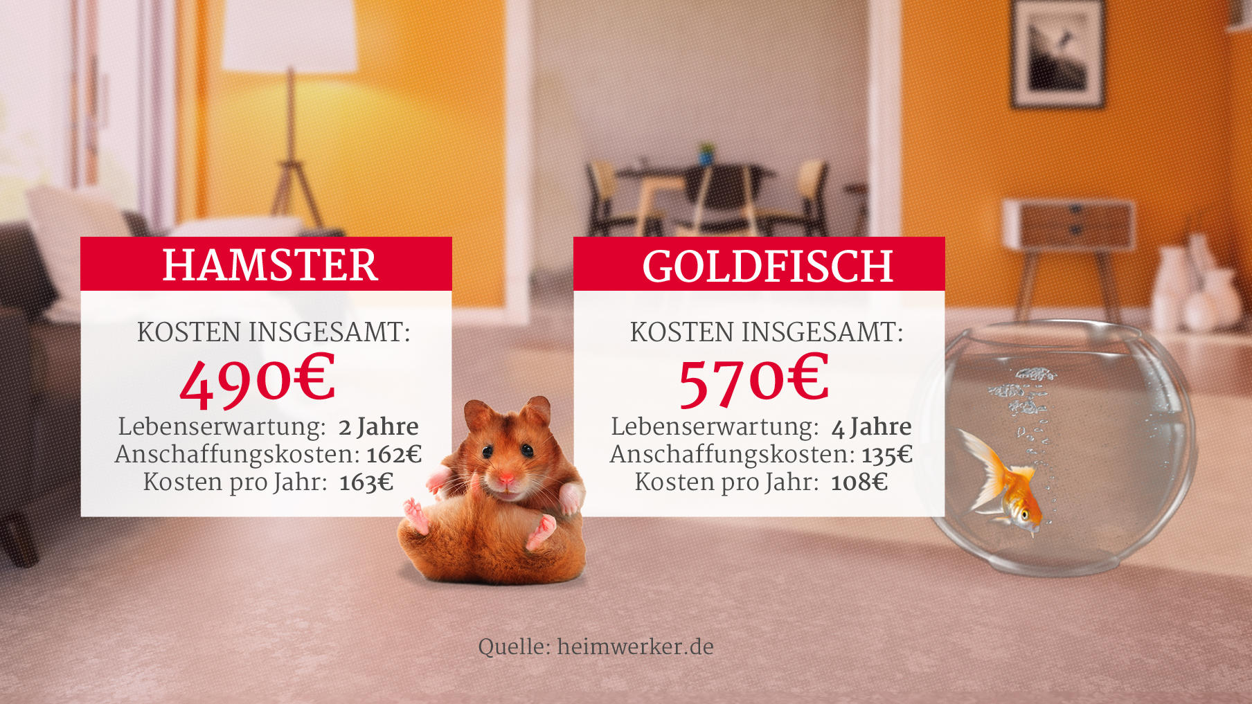 Was kosten Haustiere im Laufe ihres Lebens? DIESES Tier ist so teuer wie ein Neuwagen