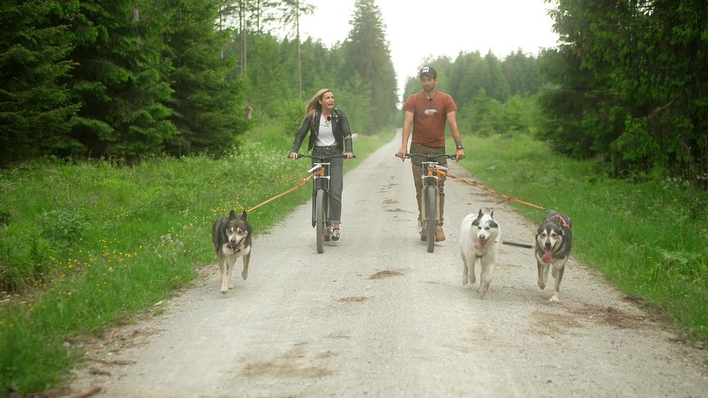 Tipps für einen Urlaub im Weserbergland.