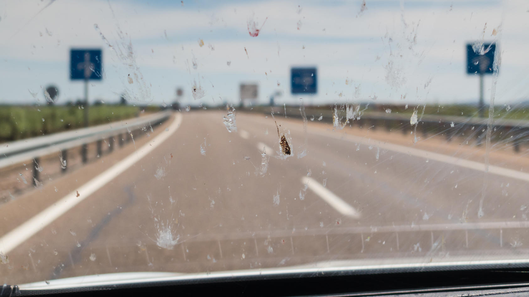 Tote Insekten auf der Autoscheibe