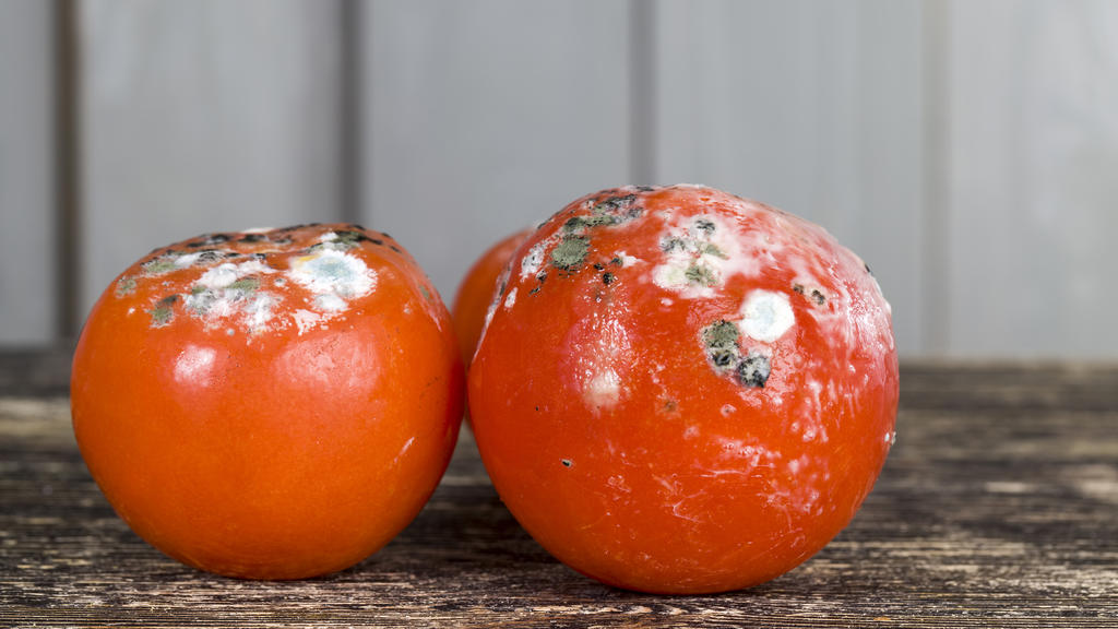 Öko-Test: Tomatenmark