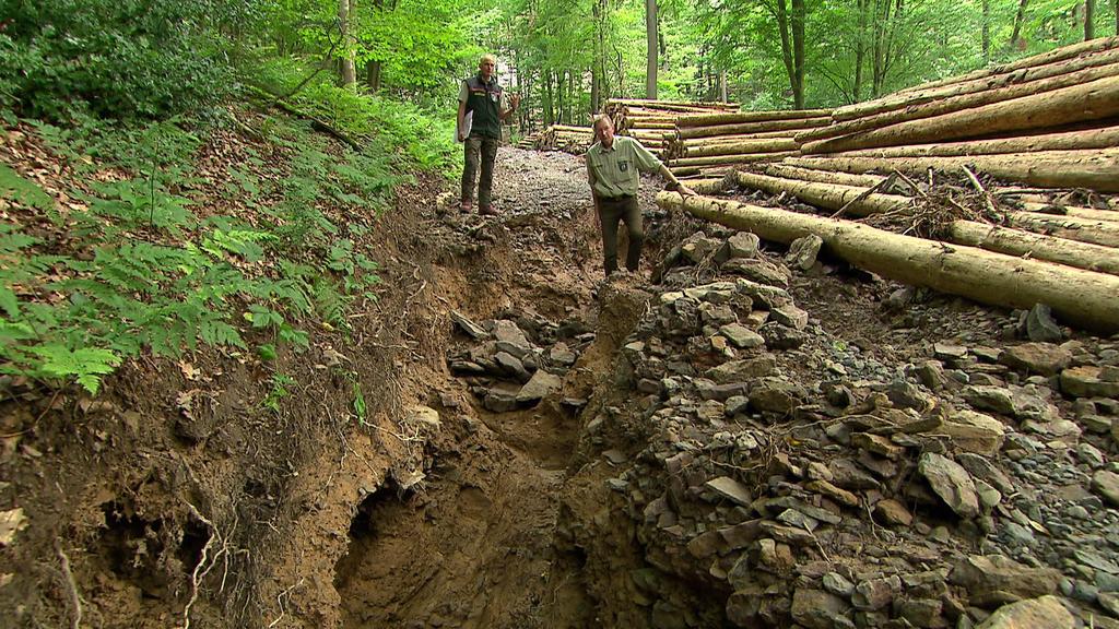 Metertiefer Graben in einem Waldstück in NRW