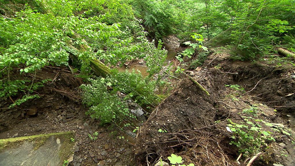 Waldwege in NRW unterspült