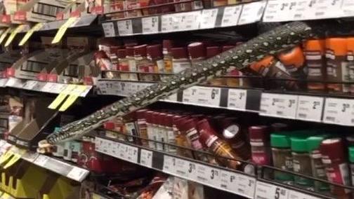 Helaina Alati Supermarkt Sydney Schlange
