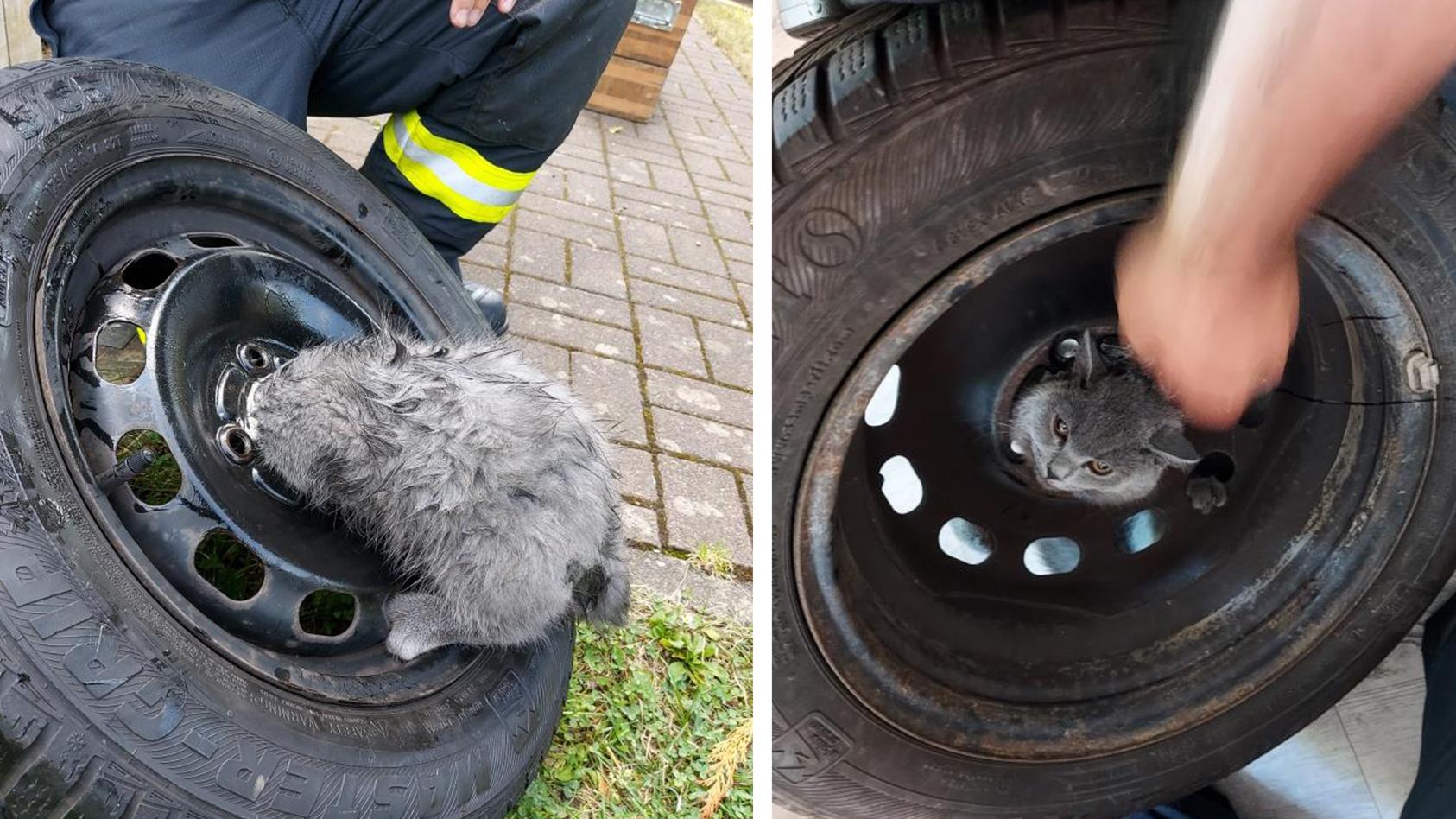 Feuerwehr Bad Soden-Salmünster befreit Katze aus Stahlfelge.
