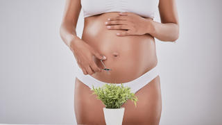 Schwangere Frau mit Pflanze vor dem Intimbereich