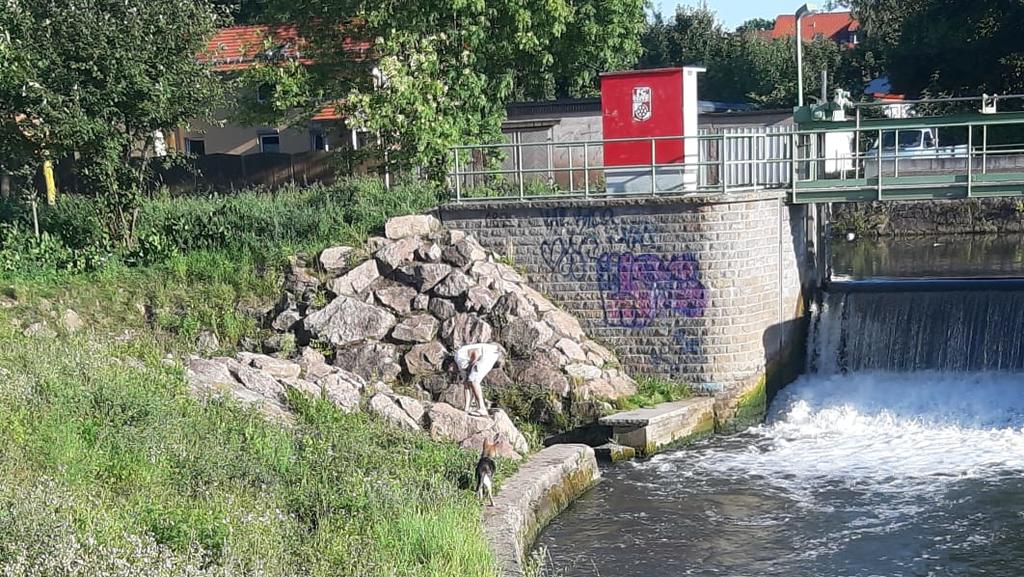 Das Wehr in Eisenach: Hier sei das Wasser kalt, unter der Oberfläche lauern Strudel, sagt Petra M.