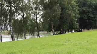 Wiese am Dortmund-Ems-Kanal
