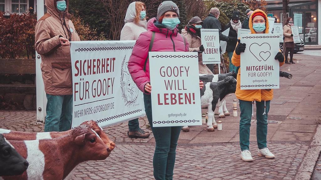 Hamburger Schulprojekt