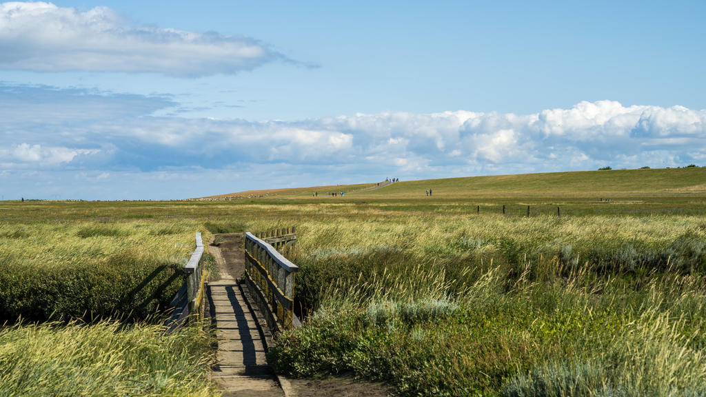 Eiderstedt Juli 2021 Spaziergang am Leuchtturm Westerhever - Wanderweg und Priel durch das Vogelschutzgebiet von Westerhever an der Nordsee *** Eiderstedt July 2021 Walk at Westerhever Lighthouse Hiking trail and tideway through the bird sanctuary of