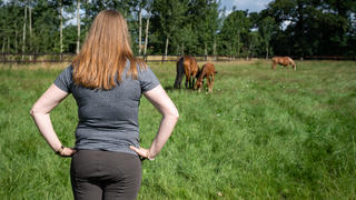 Die Begeisterung für Pferde und den Reitsport ist bei jungen Frauen weit verbreitet. Aufnahmen aus einer privaten Pferdezuchthaltung. Landwirtschaftliches Symbolfoto. || Modellfreigabe vorhanden