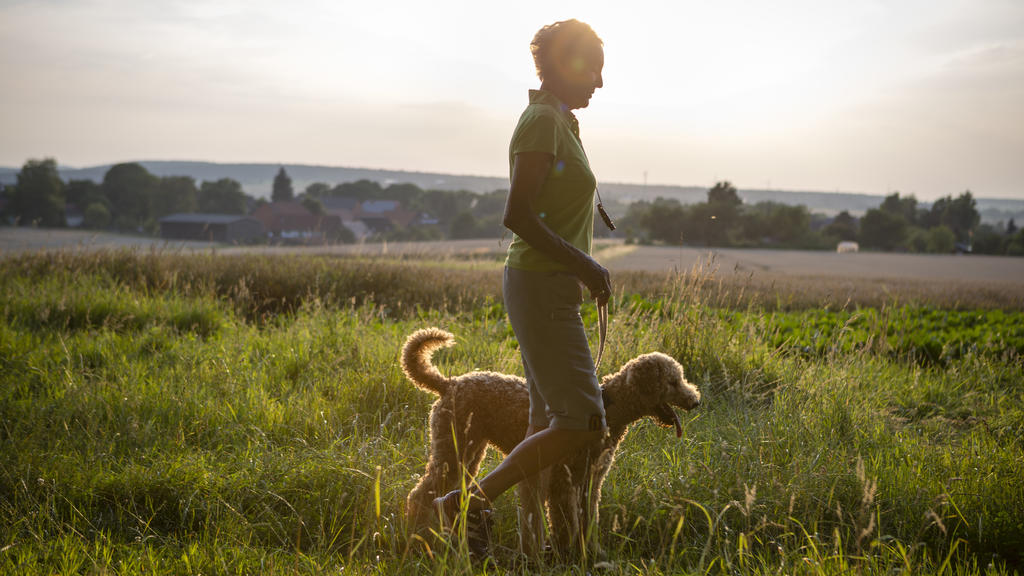 Eine aktive Seniorin geht auf einer Wiese mit ihrem Hund spazieren.