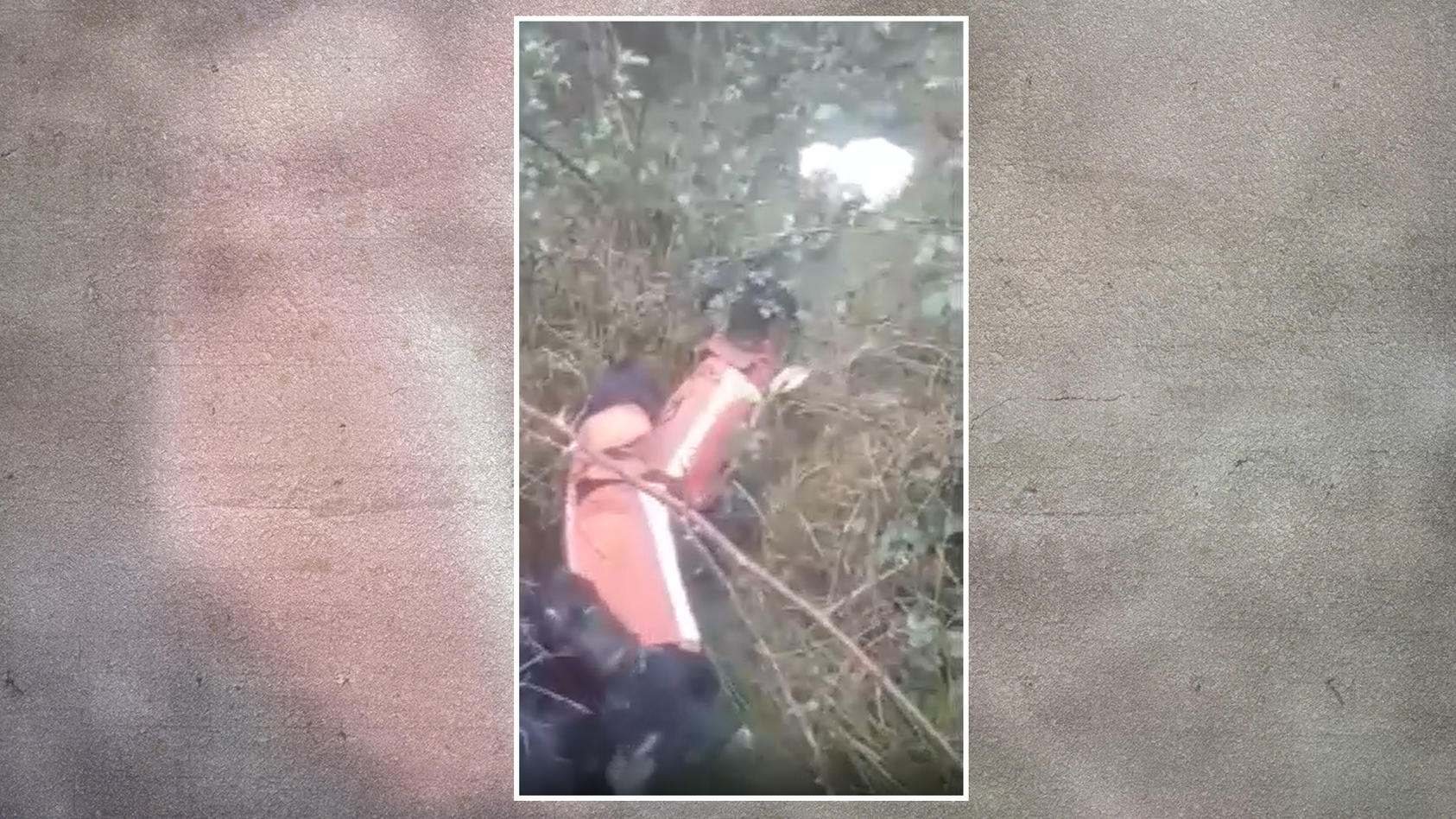 In einem Video war zu sehen, wie mehrere Hunde eine Katze zerfetzten. Ihr Herrchen feuerte die Hunde an und teilte das Video später sogar in den sozialen Medien.