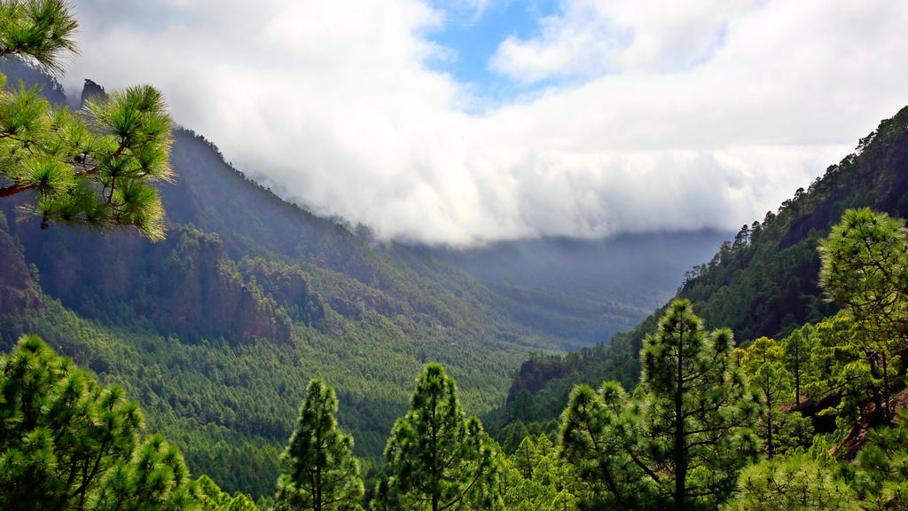La Cumbrecita nach Sueden zur Cumbre Vieja, La Palma, Vulkankette, Vulkanausbruch, Erdbeben