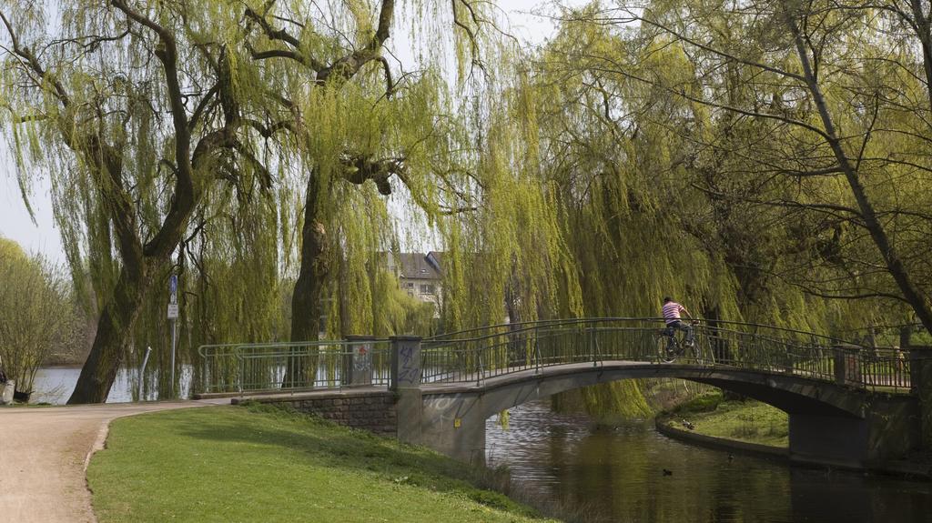 Der Ahseteich in Hamm.