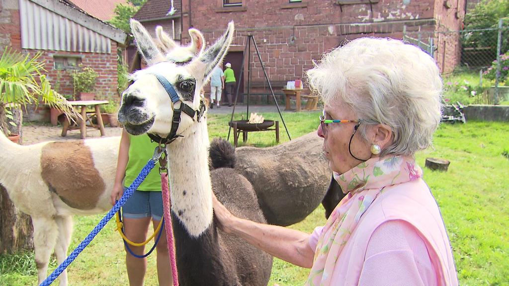 Demenz-Patientin Ingrid geht hier auf Tuchfühlung mit Lama Oscar.