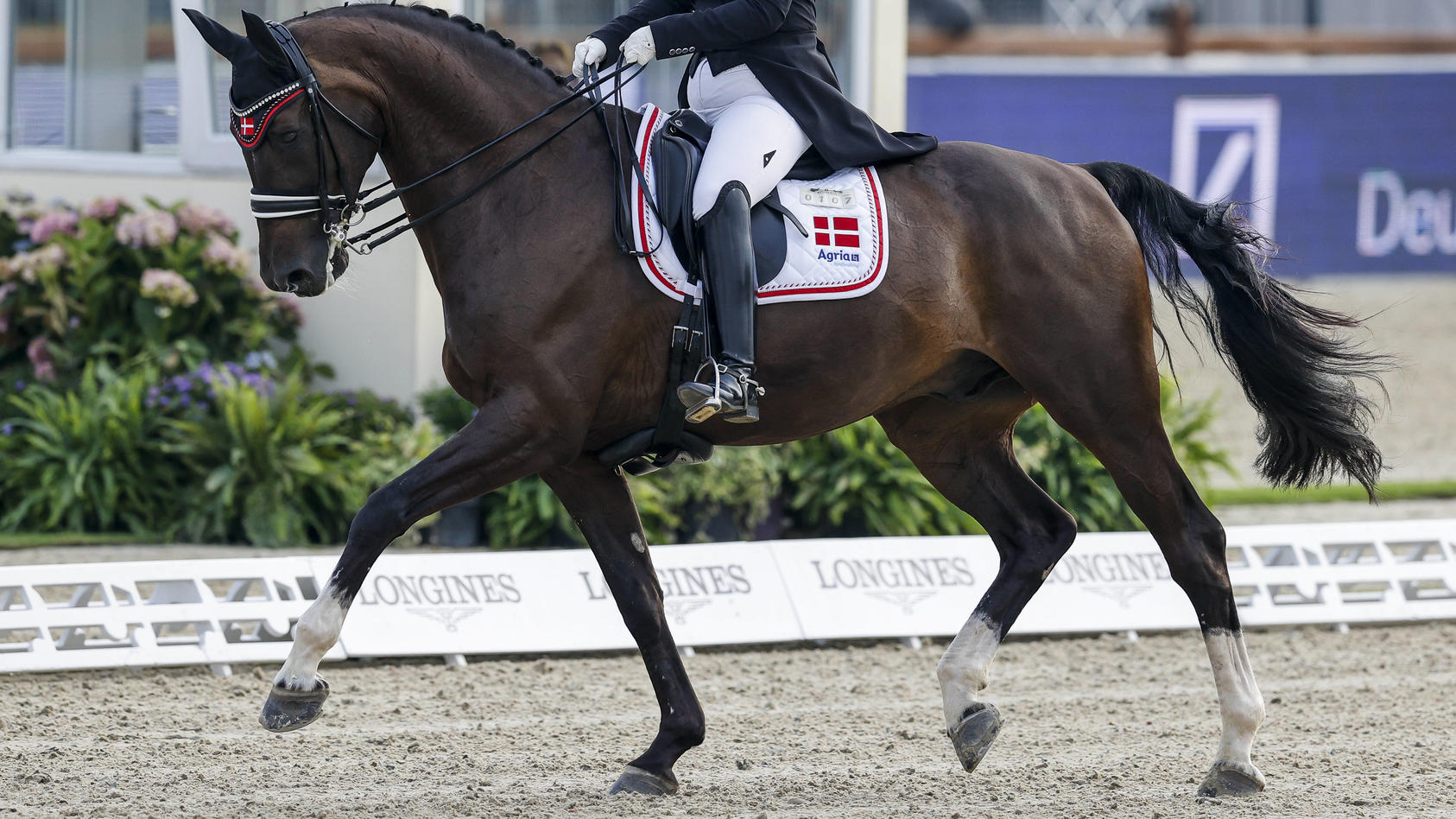 HAGEN - FEI Dressage European Championships 2021, HAGEN - FEI Dressage European Championships 2021 SKOV Emma DEN, Cracker Jack U25 Grand Prix Part A Individual Competition supported by Liselott und Klaus Rheinberger Stiftung presented by BEMER INT. A