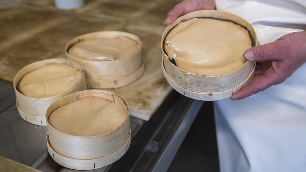 Vacherin Mont d'Or, Schweizer Weichkäse