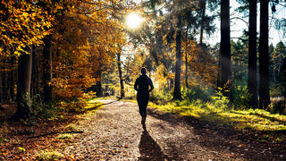 Eine Läuferin in einem Wald im Herbst.