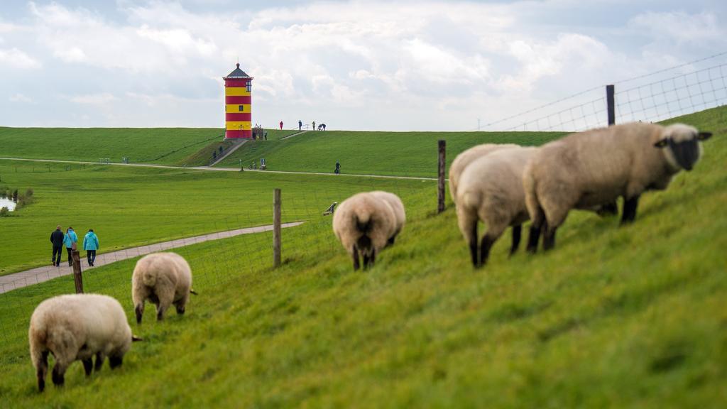 Der Pilsumer Leuchtturm in Ostfriesland ist ein beliebtes Ausflugsziel zu jeder Jahreszeit.