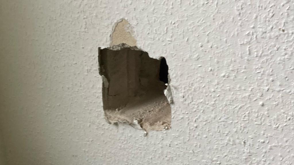 Der Tierhalter vermisste seine Katze bereits seit Sonntag. Auf der Suche nach dem Tier hörte er irgendwann ein Mauzen aus der Wand. Die Katze war in einen alten stillgelegten Schornstein gefallen.
