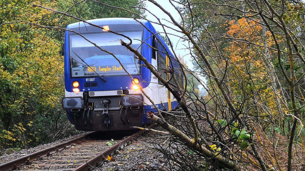 Brandenburg: Regionalzug musste wegen Sturmschäden anhalten.