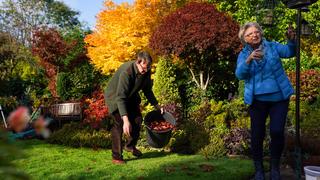 Retired couple Tony and Marie Newton tend to their Four Seasons garden as it bursts into autumnal colour at their home in Walsall, West Midlands.