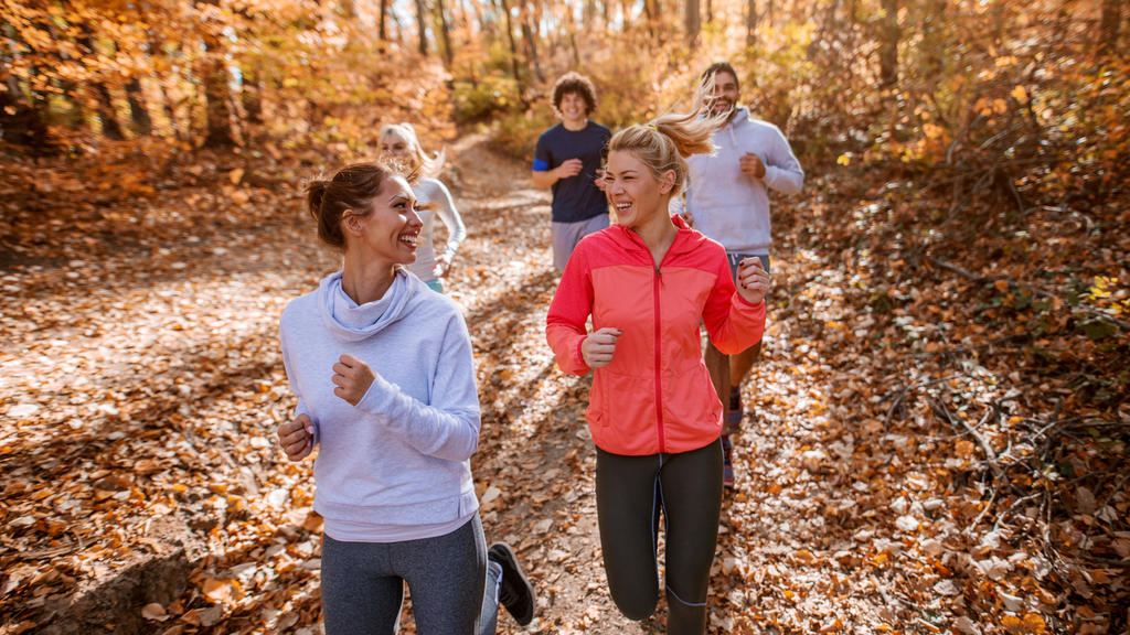 Gruppe Menschen geht joggen im Wald