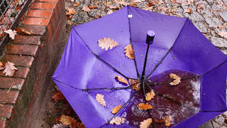 31.10.2020, Berlin. Herbstlich gefaerbte Blaetter liegen in einem Regenschirm, der wiederrum auf einem Gehweg liegt, nachdem er wohl verloren oder vergessen wurde. Foto: Wolfram Steinberg/dpa