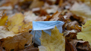 dpatopbilder - 01.11.2021, Sachsen, Dresden: Ein Mundschutz liegt zwischen herbstlich gefärbten Blättern auf dem Boden. Das Corona-Infektionsgeschehen in Sachsen verschärft sich weiter. Das Robert Koch-Institut (RKI) wies am 1. November 2021 für den Freistaat eine Sieben-Tages-Inzidenz von 291,6 aus. Foto: Robert Michael/dpa-Zentralbild/dpa +++ dpa-Bildfunk +++