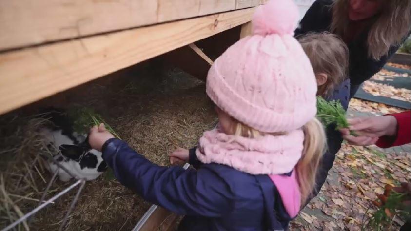 Die Kinder der Kita "Sausewind" lieben ihre Kaninchen.