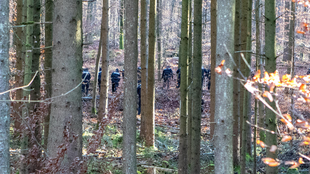 23.11.2021, Bayern, Kipfenberg: Polizisten durchsuchen ein Waldstück. Ein Waldarbeiter hatte dort einen Knochen gefunden - Ermittler fanden nun heraus, dass er von der vermissten Engelbrecht stamme, sagte ein Sprecher des Polizeipräsidiums München am