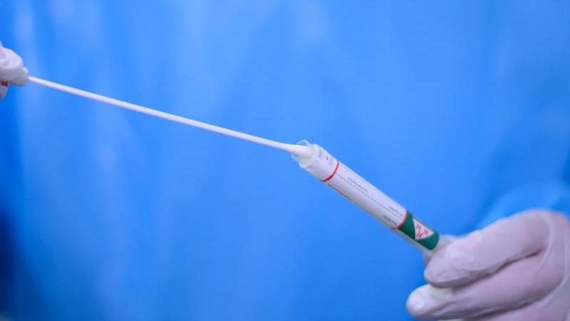 Ein Arzt hält einen Coronavirus-Test in den Händen. Foto: Robert Michael/dpa-Zentralbild/dpa/Symbolbild
