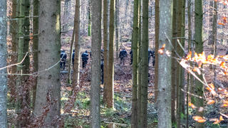 23.11.2021, Bayern, Kipfenberg: Polizisten durchsuchen ein Waldstück. Ein Waldarbeiter hatte dort einen Knochen gefunden - Ermittler fanden nun heraus, dass er von der vermissten Engelbrecht stamme, sagte ein Sprecher des Polizeipräsidiums München am Dienstag. Foto: Friedrich/Vifogra/dpa +++ dpa-Bildfunk +++