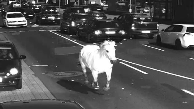 Schneller als die Polizei erlaubt?