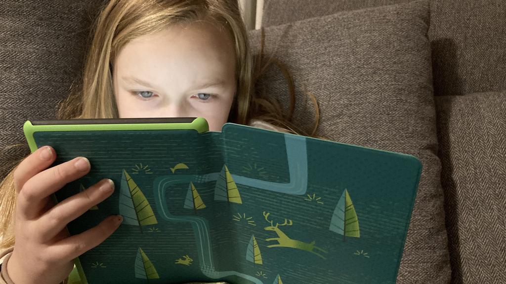 Die Schutzhülle des Kindle Paperwhite Kids - Design: Juwelenwald