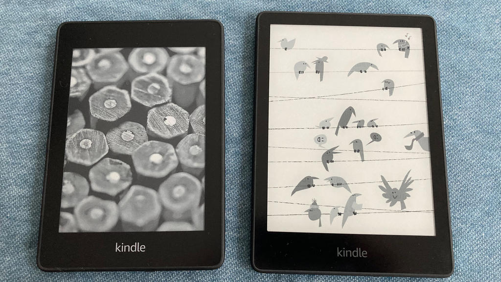 Links der Kindle Paperwhite (10.) Generation, rechts der Kindle Paperwhite Kids (11. Generation)