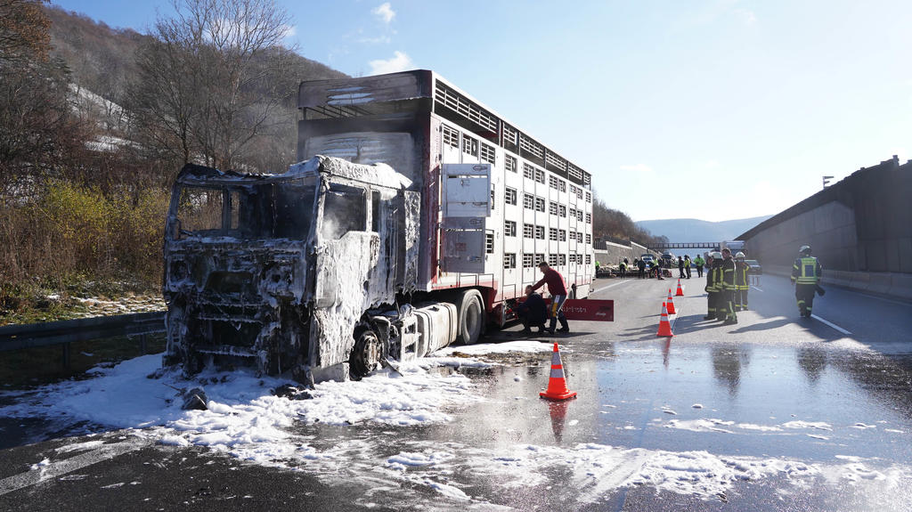 Tiertransporter bennt auf A8 Richtung Stuttgart völlig aus