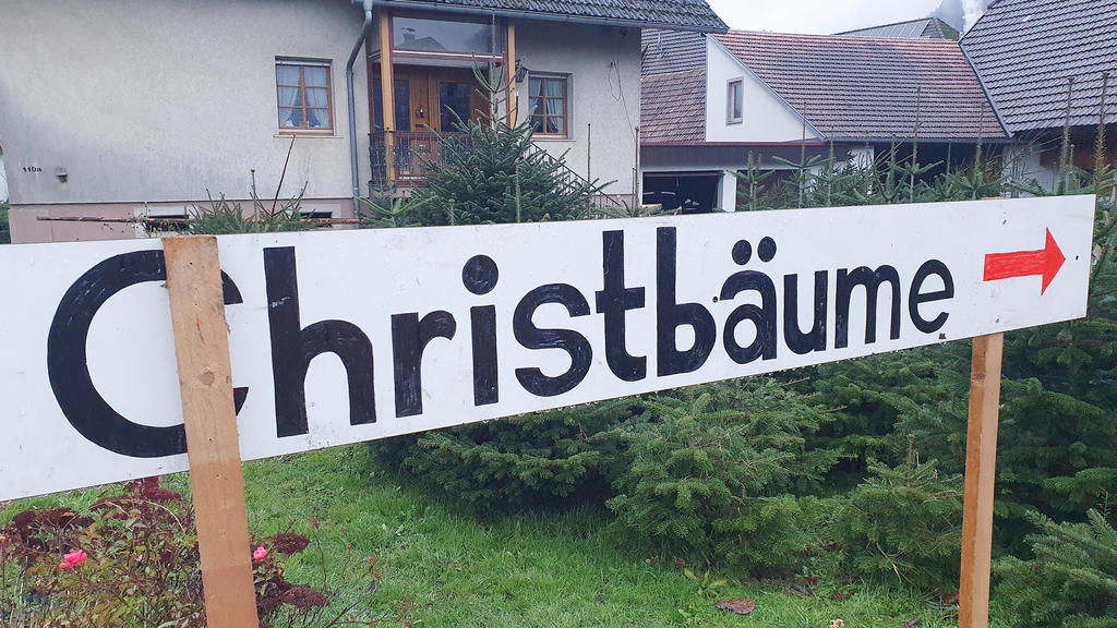 Schild zeigt den Weg zum Weihnachtsbaumverkauf