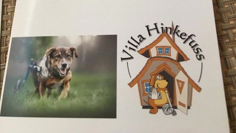 In der Villa Hinkefuß kümmert sich Inhaberin Petra Schönle liebevoll um behinderte und nicht-behinderte Hunde.