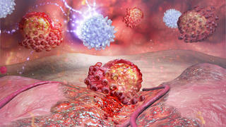 Besteht die zweite Verteidigungslinie des Immunsystems, die sogenannten T-Zellen, bei Geimpften gegen die neue Omikron-Variante?