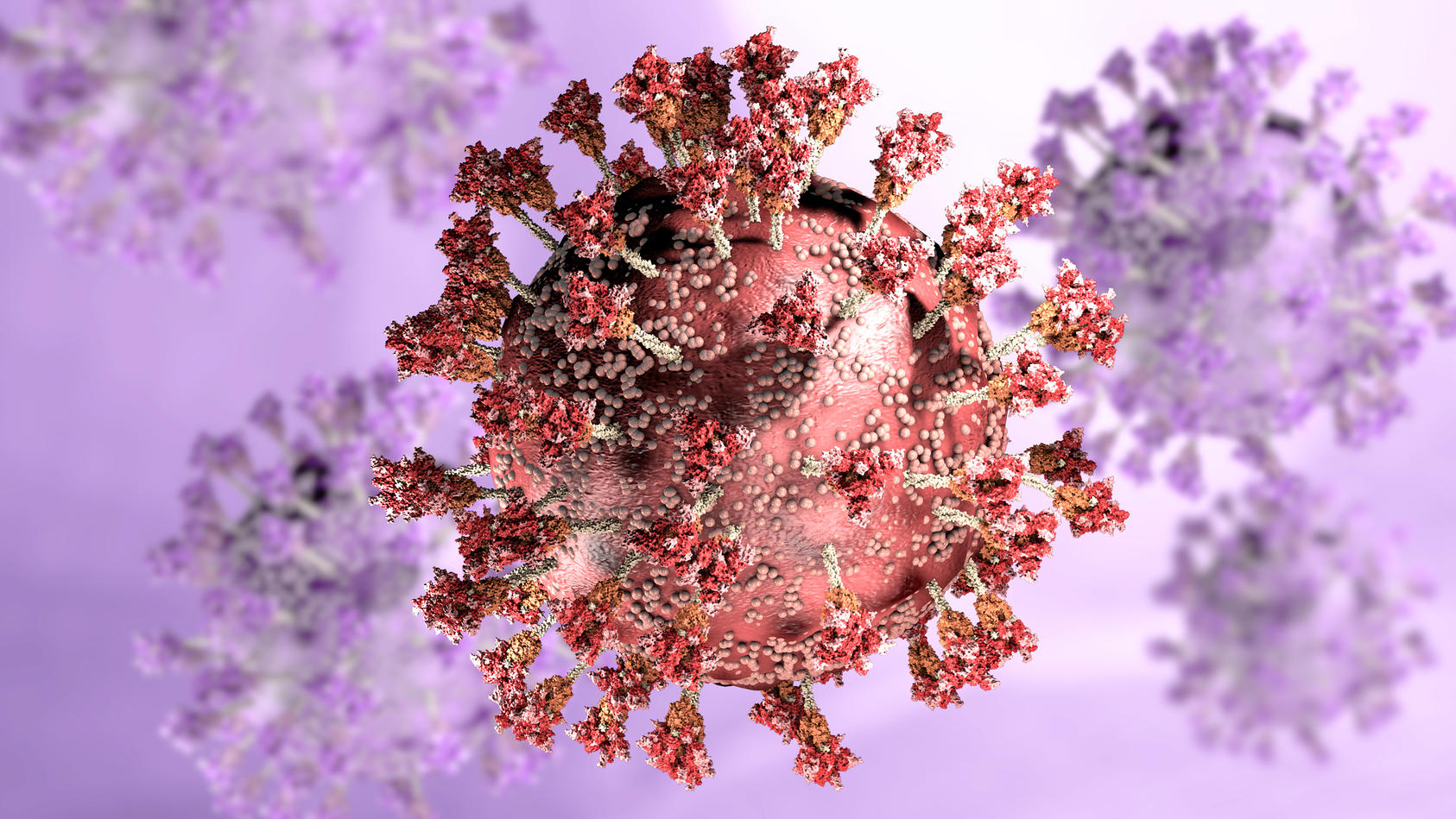 Die Omikron-Variante des Coronavirus