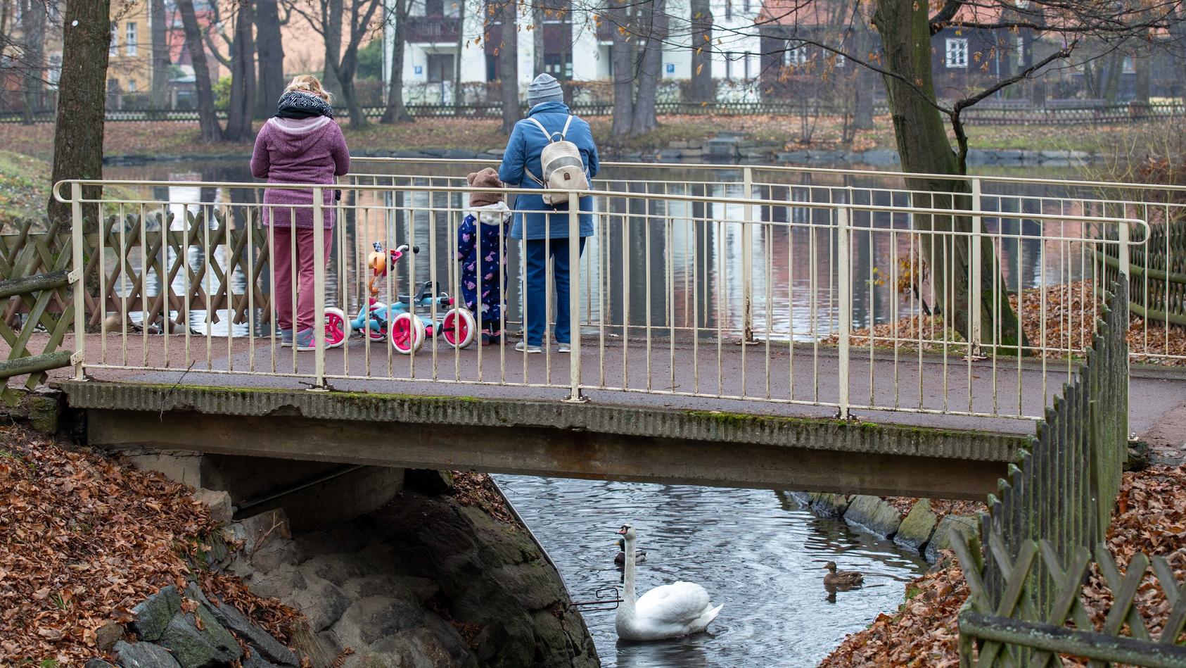 Zwei Frauen stehen zusammen mit einem kleinen Kind auf einer Brücke im Arthur-Richter-Park in Neustadt und füttern Enten und einen Schwan.
