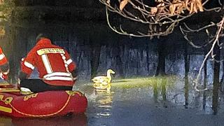 Festgefrorene Ente und Feuerwehr mit Schlauchboot.