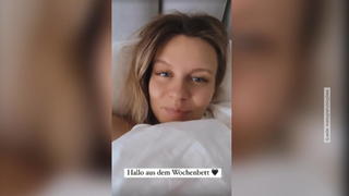 Dagi Bee