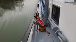Susi auf ihrem "Zuhause". Ihr kleiner Ausflug hat für ordentlich Aufsehen gesorgt.