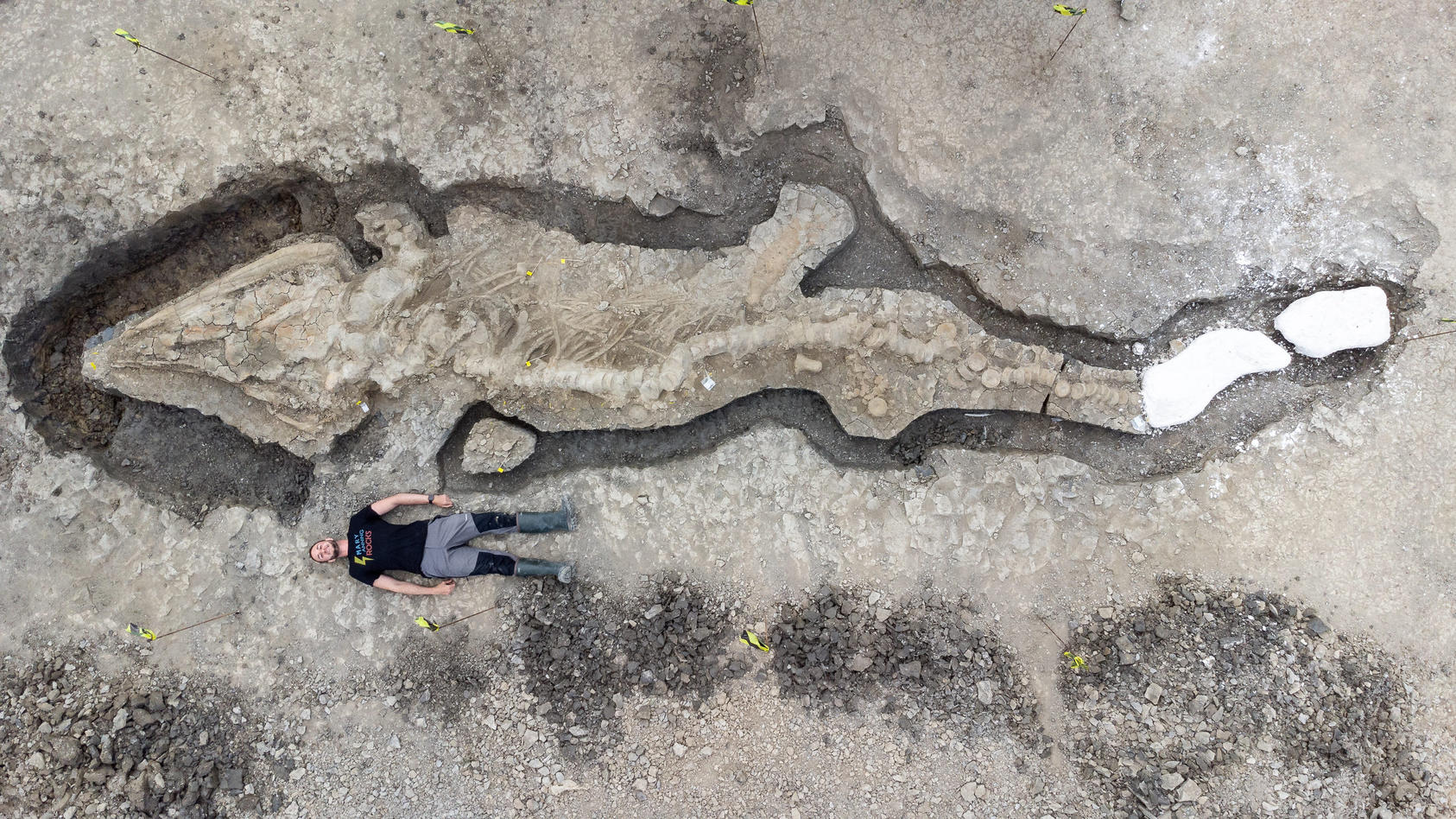 HANDOUT - 10.01.2022, Großbritannien, --: Undatiertes Handout-Foto, herausgegeben von Anglian Water, zeigt Paläontologen bei der Arbeit an dem Ichthyosaurier-Skelett, das im Rutland Nature Reserve gefunden wurde. Zehn Meter ist es lang und allein der